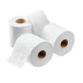 LETER HIGJENIKE BOBIN 100 gr X 30 cope